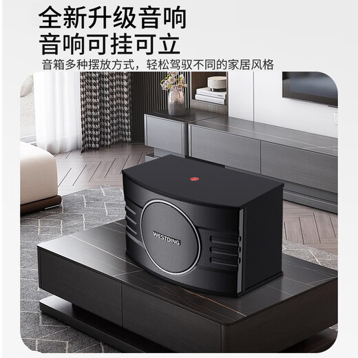 Westin Home KTV Audio Set Singing Complete Equipment Karaoke Cinema Conference Stage Commercial Supermarket Home Living Room Newly Upgraded 108 Speaker Set 108 Ultimate Edition +393+K82