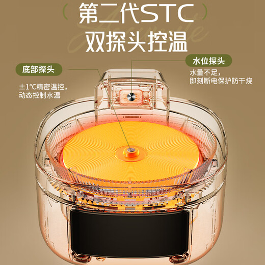 Royalstar all-glass health kettle kettle thermostatic kettle 1.2L home office insulated floral teapot tea brewer thermostatic kettle health cup with filter YSH1280 (L)