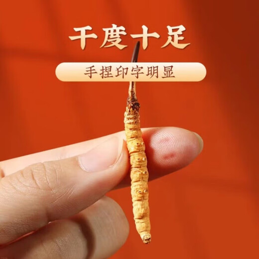 Cordyceps sinensis, high-altitude cordyceps dry goods in Tibetan areas, nourishing gift boxes, 3 sticks per gram, 10 sticks gift boxes