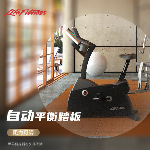 LIFEFITNESS Home Exercise Bike C3 Upright Indoor Cycling Fitness Equipment Home Spinning Bike Exercise Equipment C3-GC