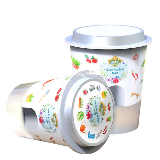 Devodo Cucumber Seed DIY Children's Fun Planting Potted Set Flower Green Plant Potted Vegetable Observation Planting Cup