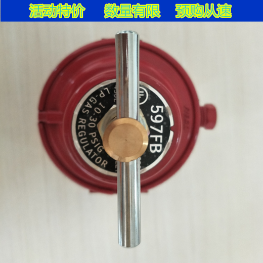 REGO1584VN/597FB/1588VN/燃气调压/器/中减压阀/调压记 15844分