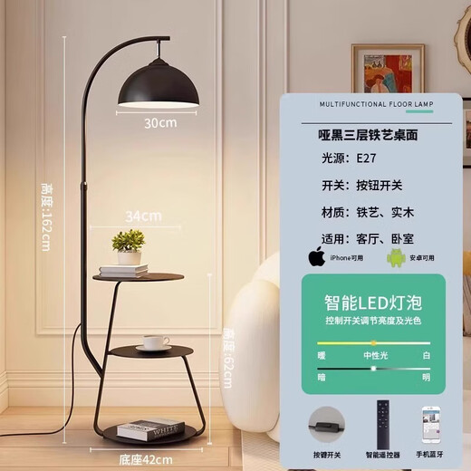 钟帅卧室新款2024钓鱼旁边风灯立灯奶油沙发落地灯边客厅边几落地灯 黑杆+铁艺置物+遥控调光