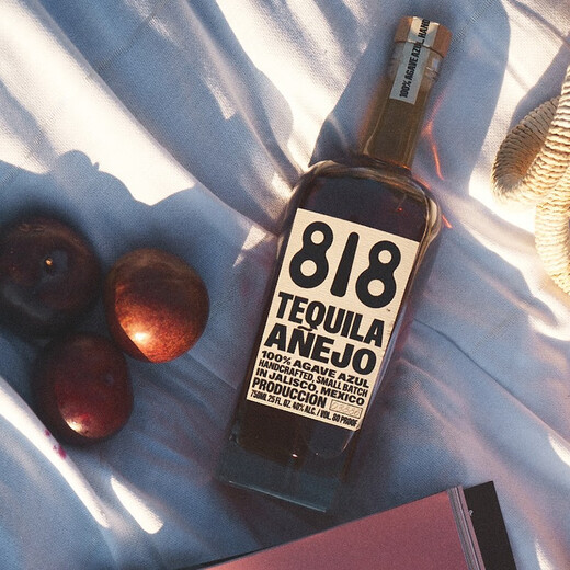 詹娜818金/银/陈酿龙舌兰酒TEQUILA肯达尔詹娜肯豆墨西哥进口洋酒 Anejo陈酿龙舌兰 750mL 1瓶
