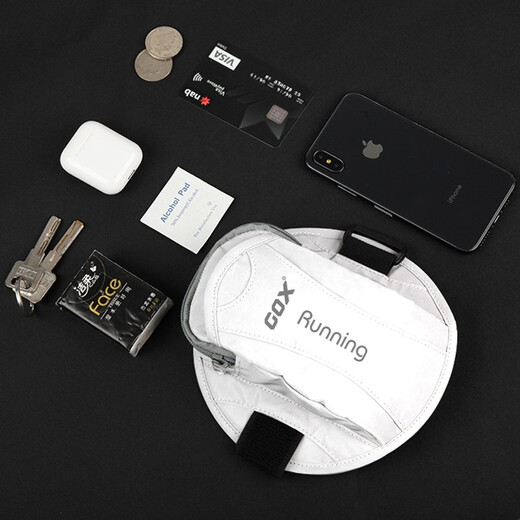 GOX Reflective Running Arm Bag Waterproof Sports Phone Bag Outdoor Cycling Fitness Unisex Arm Cover Luminous Silver