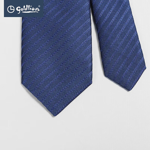 Goldlion Men's Exquisite Striped Tie Fashionable Business Casual Formal Interview Gift Box for Boyfriend