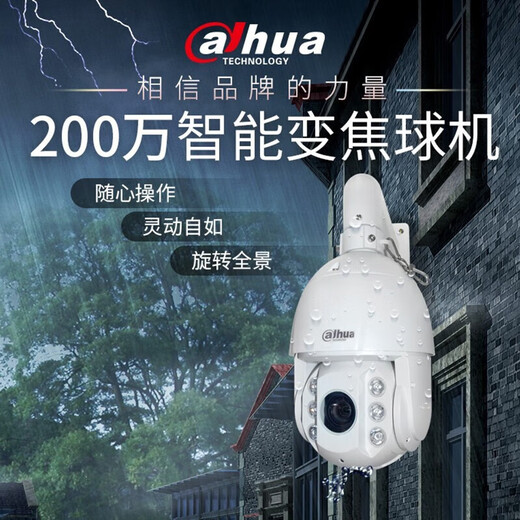 Dahua Dahua Co., Ltd. Ballmaschinenüberwachung Kamera Outdoor Hochtaude Superstarlight Nachtsicht Externe Audio-Intercom Alarm Drehbares Gimbal Poe Potened Ball Machine Monitor DH-SD6223-D2-I