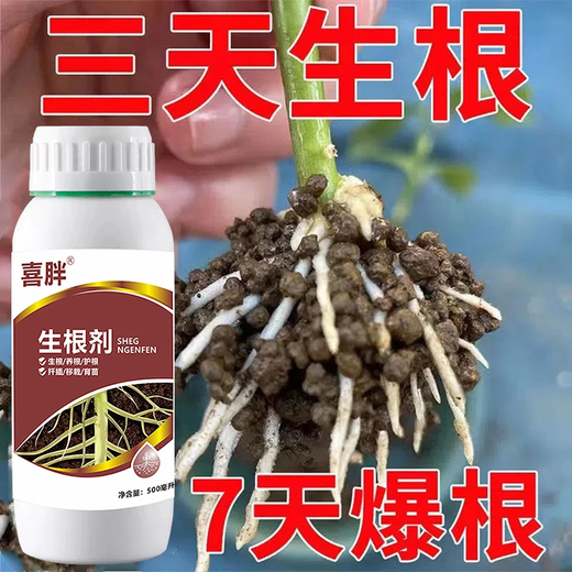 3 days of rooting, powerful rooting liquid, plant cutting rooting agent, rapid rooting and strong seedlings, cuttings and transplants, 3 days of rooting, cuttings, transplants and seedlings, 7 days of rooting, 30g, rooting powder 1 pack