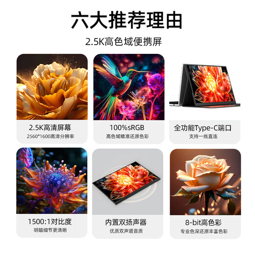 Pantalla portátil Eimio Pantalla IPS ultra clara de 2.5K Gama de colores DCI-P3 Computadora portátil con relación de pantalla ultra alta de 16 pulgadas Interruptor de pantalla secundaria/Pantalla extendida PS5 X16