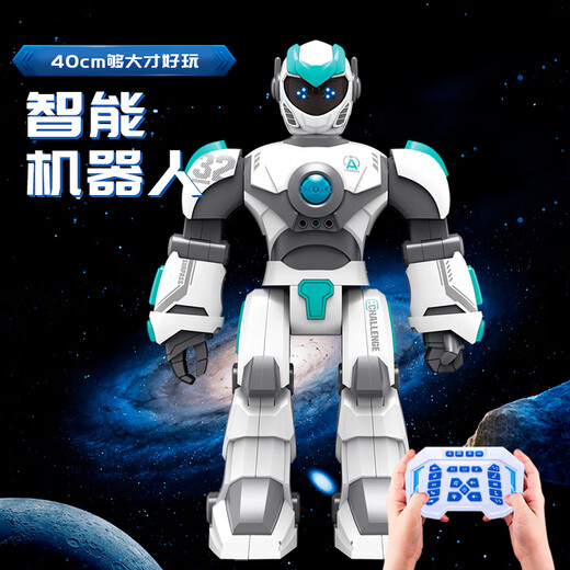 RWTW遥控机器人儿童玩具智能编程电动会走路会语音对话送男孩生日礼物 智能对话机器人-静谧白 官方标配