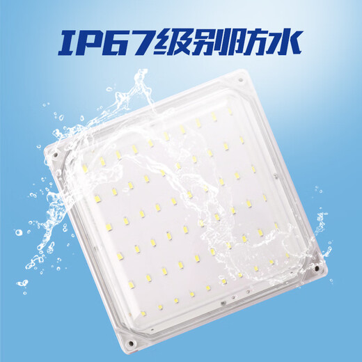 Aroden LED cold storage special lamp waterproof and moisture-proof lamp explosion-proof three-proof lamp bathroom lamp cold storage ice storage special lamp square cold storage lamp 55/W