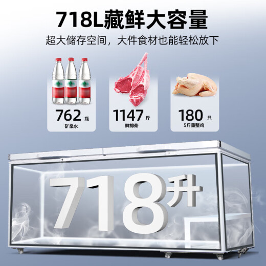 星星（XINGX）冰柜卧式冷柜商用大冰柜单温大容量冷藏冷冻转换柜518升冰柜冷冻柜顶盖门速冻保鲜雪柜 【常规】718升|中梁除霜|咨询改价