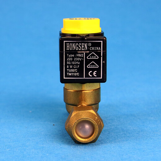 XMSJ Que Panluo Magnetventil Hongsen Kartentyp Magnetventil 10 Serie Kühlpraxis Zwei-Wege-Magnetventil Kühlpraxis Kühlung 1098/7 (22 mm Schweißanschluss 220 V)
