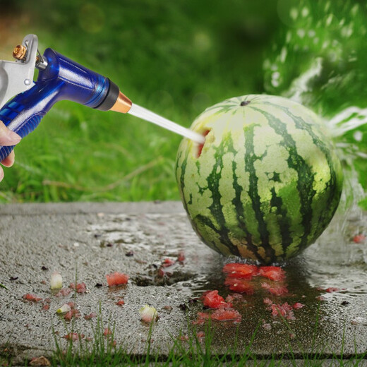 Orichi high-pressure car wash water gun household car brushing watering flower pipe cleaning supplies set D5 water gun + connector + 20 meter pipe