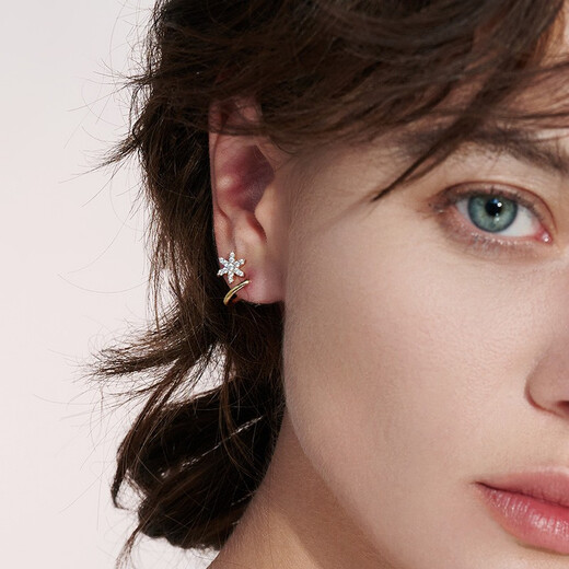 HEFANG He Fang Jewelry Gilded Snow Earrings Silver Earrings Women's Light Luxury High-end Birthday Gift for Girlfriend Gold