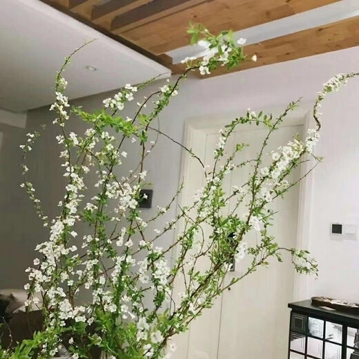 Snow willow dry branches water flower arrangement hydroponic flowers indoor water blooming living room balcony flower viewing green plants snow willow flowers fresh branches water grown New Year's Eve flower plants 10 snow willow branches 80 cm high without bottles