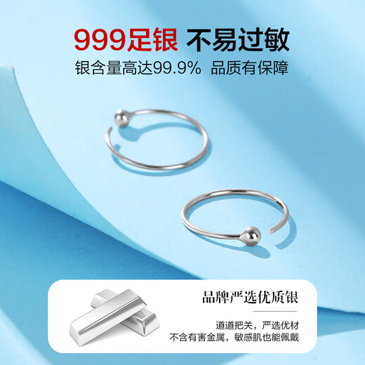 Dai Ruosu hoop earrings women's 999 silver high-end hoop earrings earrings for piercing without removing ear bone nails summer earrings
