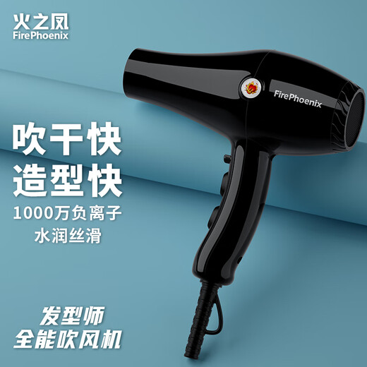 Fire Phoenix hair dryer for barber shops, negative ion 2200W high-power hair salon, high wind, quick drying, household high-speed constant temperature hair care without damaging hair 8960 8960 Obsidian Black (2200W)