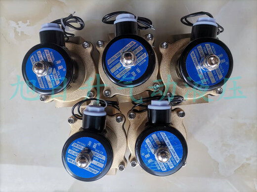 Benmagnetic normally closed solenoid valve water valve AC220V air valve DC24V DC12V 2 minutes 3 minutes 4 minutes 6 minutes 1 inch 2W250251 inch AC220V