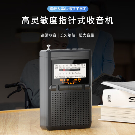 Newman BT80-Radio für ältere Menschen zum Hören von Musik mit Vollband-Englisch-Stufen 4 und 6, Plug-in-Kartenspieler, wiederaufladbarer FM-Walkman-Minilautsprecher