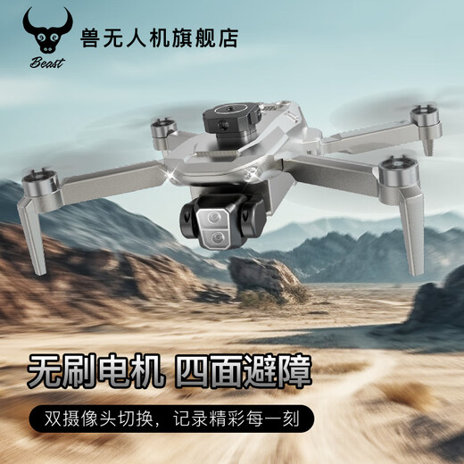 Beast Drone HD Einsteiger-Drohne, Luftbildfotografie, Erwachsenenversion, lange Ausdauer, Hindernisvermeidung, bürstenloser Motor, ferngesteuertes Flugzeugspielzeug, Geschenk für Kinder, Hindernisvermeidung – Echtzeit-Luftaufnahmen – bürstenloser Motor – schwebender optischer Fluss, Dual-Elektro-Version, Luxus-Zubehörpaket + Aufbewahrungstasche