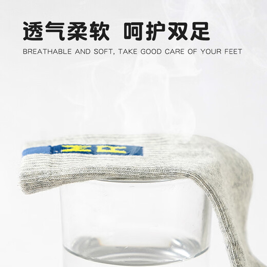 Catman children's socks boys cotton mid-calf socks boy baby letter sports trendy socks mixed color XL