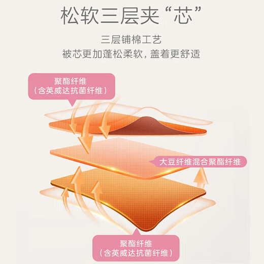 Luolai Children's Class A Soybean Cutter Children's Quilt Kindergarten Spring and Autumn Four Seasons by the baby's quilt 1.5 Jin [Jin equals 0.5 kg] 120*150