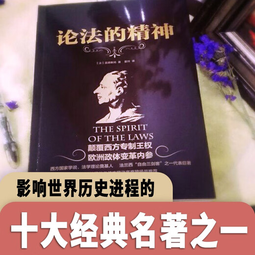 黑金系列：论法的精神