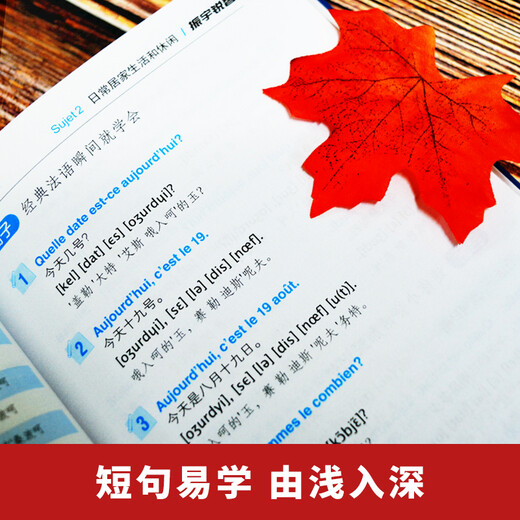 零起点法语金牌入门：发音单词句子会话一本通 附赠外教视频+双速音频+语法手册+键盘贴 法语入门自学教材 法语语法 分类词汇电子版