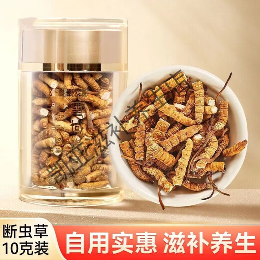北京同仁堂正宗虫草10根礼盒装2024年头期藏区冬虫夏草 每根0.5克虫草王10根【共5克】礼罐装