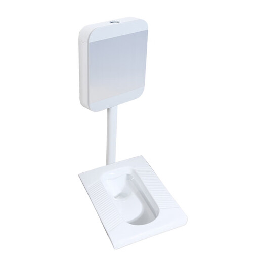 Comfortable Eagle brand household flush tank set, ceramic squat toilet, anti-clogging, silent and odor-proof, complete set of squat toilet, luxury low-key brushed silver A with trap front drainage