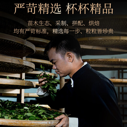 传奇会乌龙茶 安溪铁观音 清香型特级250g轻火礼盒装兰花香茶叶送礼礼品