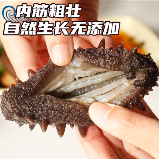 皇家麒麟 即食海参 即食大连刺参单个装辽刺参海参干货水产礼盒净含量500g 7A鲜食海参 6-8只/斤 三斤装【家庭装】