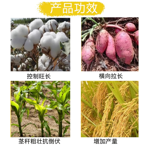 25% methylphenidate, methylphenidate, methylphenidate, cotton, corn, growth control drug, chlormequat, pesticide, plant growth regulator, 500g*20 bottles