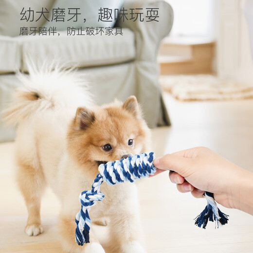 Hanhan Paradise Pet Dog Toy Cotton Rope Bite Resistant Interactive Training Screaming Chicken Dog Teething Supplies Interactive Set Supplies 5