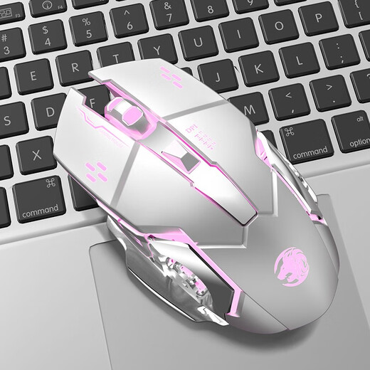 Forerunner Kabellose Bluetooth-Maus, leise, Dual-Modus, wiederaufladbar, mechanische Maus, für Mädchen, Büro, Laptop, Desktop-Computer, E-Sport, Spiel, FPS, Huhn fressend, spezieller Peripherieraum, Silber-Taste, Stummschaltung, kabellos, 2,4 G-Version