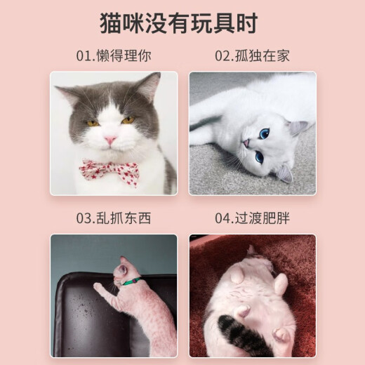 Hanhan Paradise cat toy cat stick, kitten and cat teeth grinding play, bite-resistant interactive self-pleasure toy artifact pet supplies