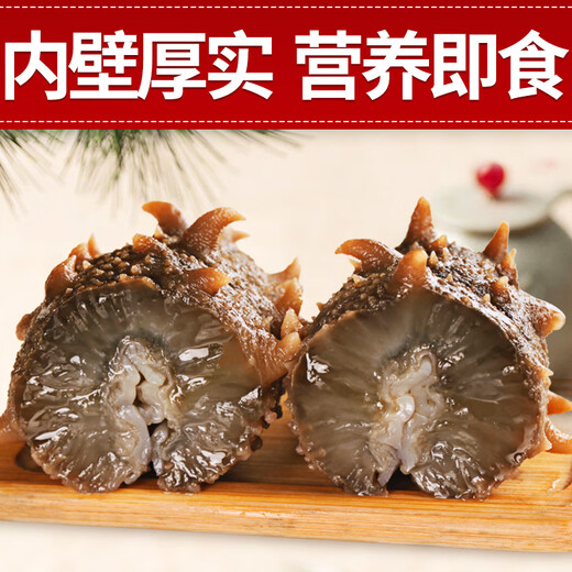 皇家麒麟 即食海参 即食大连刺参单个装辽刺参海参干货水产礼盒净含量500g 7A鲜食海参 6-8只/斤 三斤装【家庭装】