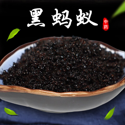 Medicina china seleccionada para hormigas negras en el Neijing 500 g de articulaciones reumatoides secas de hormigas negras empapadas en vino [Antiguo negro] 500G