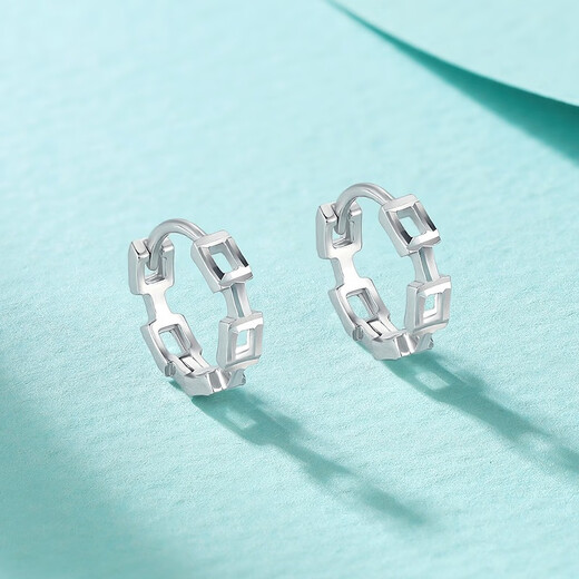 Liuguifu Jewelry Platinum Earrings for Women Pt950 Platinum Geometric Earrings Earrings for Girlfriend’s Birthday Gift 2.25g