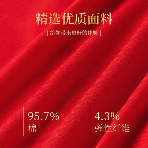 Langsha Red Underwear Women's High Waist Antibacterial 4 Pairs Zodiac Year Horse Year Qiji Red Festive Wedding Red Women's Lucky Briefs