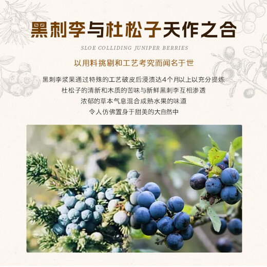 萨格利【国际金奖】荷兰原瓶进口干金酒金汤力琴酒杜松子酒洋酒调酒基酒 萨格利黑刺李金酒 700mL 1瓶