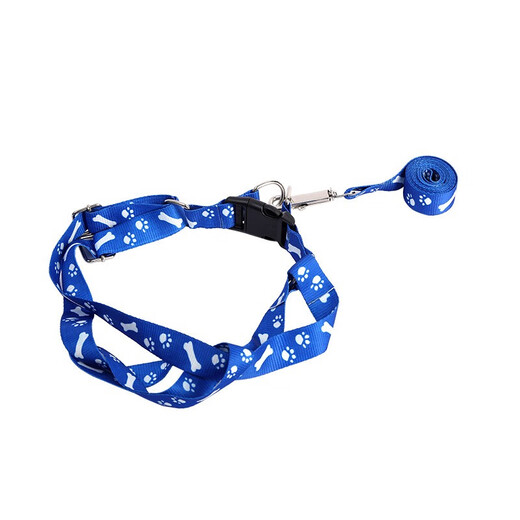 Tiannuo Pet Products Cat and Dog Leash Teddy Pomeranian Small Dog Cat Dog Rope Puppy Dog Walking Rope Dog Chain Strap Random Color Small Rope Width 1cm (2-6Jin Jin is equal to 0.5kg)