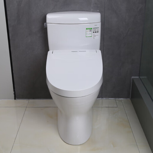 TOTO Smart Toilet Extreme Vortex Control remoto Control inteligente Esterilización electrolítica CW830+TCF3M460 305 Distancia de pozo
