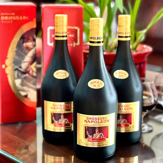 General Napoleon VSOP importierten ausländische Wein Brandy Französisch Originalflasche Wein VSOP Brandy 1000ml 1 Flasche