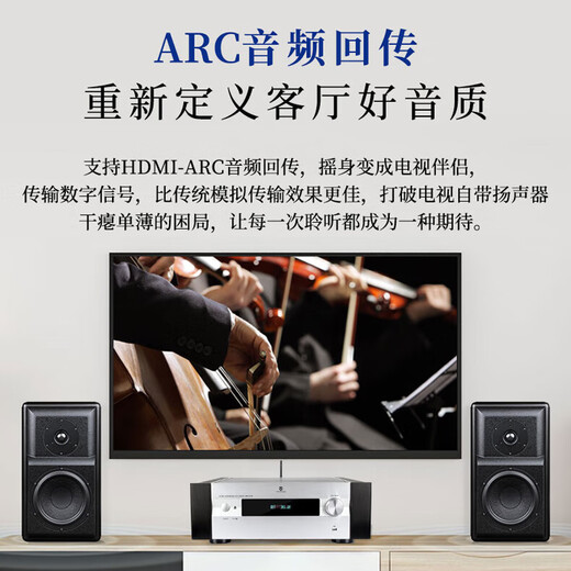 天逸(Winner)AD-86D多功能超甲类家用功放机大功率发烧级HiFi功放音响套装2.0高保真数字功放 AD-86D+童笛3号