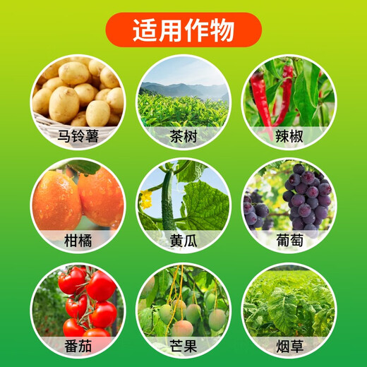 Corteva can kill 30003000 46% copper hydroxide Corteva ulcer wildfire angular spot vegetable fungicide 100g