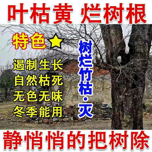Cyclazinone tree killing powder, dead tree removal, big tree root rot agent, strong killing big tree special medicine, gardening fertilizer, dead tree, 1 barrel special type