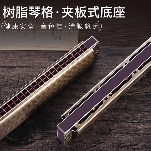Swan allemand Gong importé 28 trous harmonica professionnel jouant accent Advanced adulte débutant instrument de musique haut de gamme [grain de bois rose léger] C-ton polyphonique 28 trous [pas d'empreinte digitale]