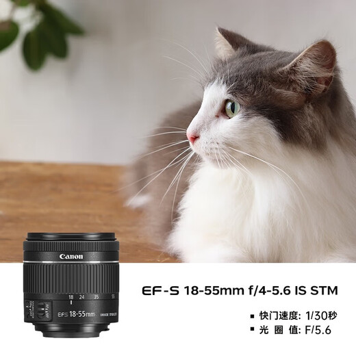 Canon EFS half-frame standard zoom lens 70D 80D 90D 77D 7D2 800D 850D 700D EF-S 18-135 IS STM National Bank Official Standard